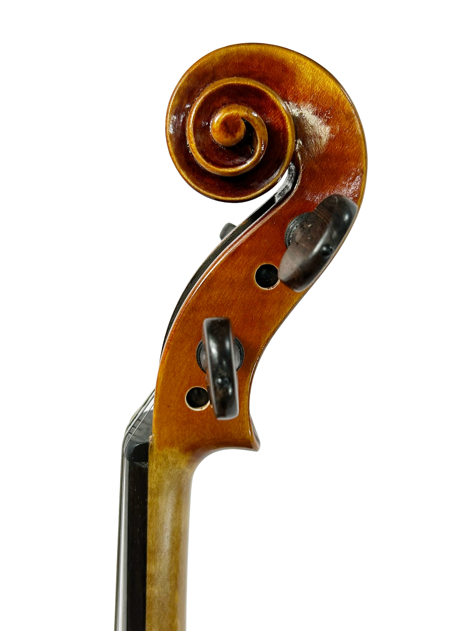 Premium Antique Violins — Gagliano Instrument